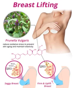 flysmus™ BewtyUp Enhancement Herbal Patch