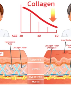 flysmus™ Serum Protein Collagen Lifting Ampoule