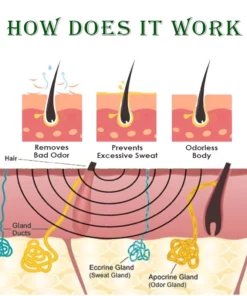 ATTDX BodyOdor Removal Herbal Cream