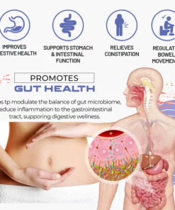 GutEase™ Constipation Relief Wrist Band