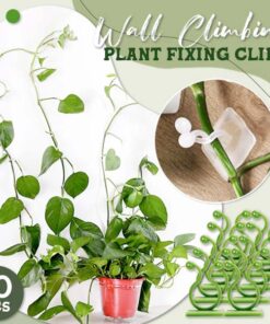 Clipes para fixação de plantas trepadeiras na parede