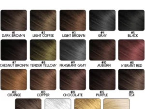 ATTDX Hairline Coverage TouchUp Powder