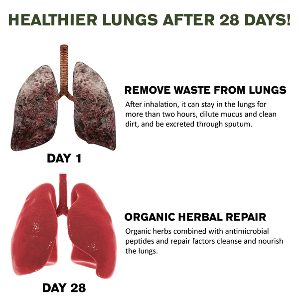 ATTDX LungCleanser HerbalTreatment Spray - Image 7