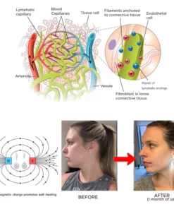 BLUESKY ™ Lymphatic Magnetic Therapy Earrings