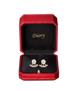 Diory EarAcupressure Magnetherapy Detoxi Earrings