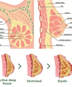 Fivfivgo™ Breast Enlargement & Firming Patch