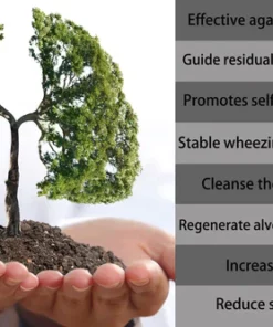 Fivfivgo™ Organic Herbal Lung Cleanse Repair Nasal Spray