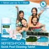 GFOUK™ RefreshPool 快速泳池 Reinigungstablette