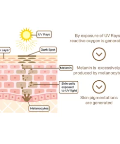 GFOUK™ Anti-Pigment Probiotic SPF 50 Tagespflegecreme