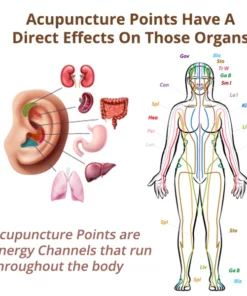 Humxf™ MagneTherapy Germanium Detox Earrings