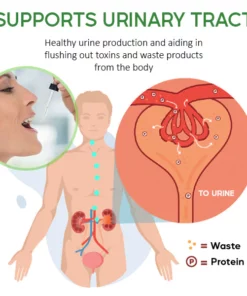 MediCare™ Kidney Boost Drops