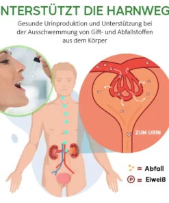 MediCare™ Nieren-Boost-Tropfen