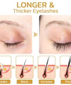 flysmus™ LushBeauti Premium Brauen