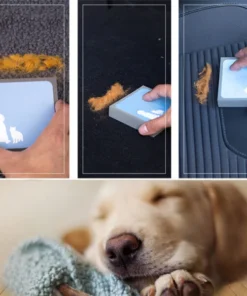 Pet Hair Cleaning Brush