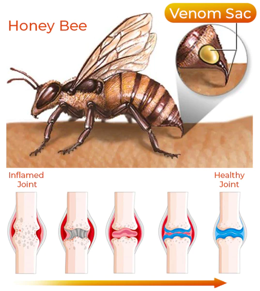 Beevana™ gel za profesionalnu njegu s pčelinjim otrovom