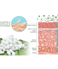 CC™ Silk ProteinMelanin Fading Soap
