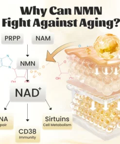 Ceoerty™ RevTime NMN Age-Defying Essence