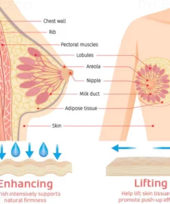 DYCECO™ Korean Breast Enhancement Patch