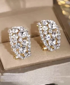 Diamonds Hoop Detoxi Earrings