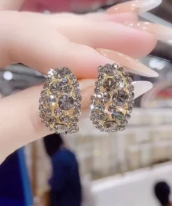 Diamonds Hoop Detoxi Earrings