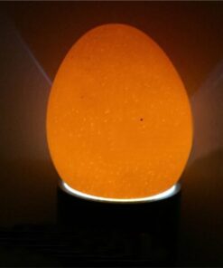 Egg Tester Light