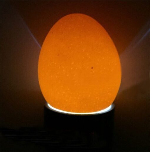 Luz de teste de ovo