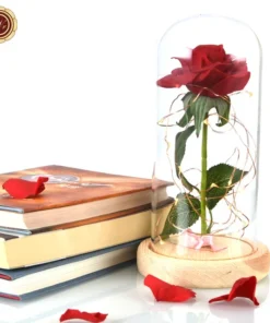 Enchanted Rose Flower Lamp