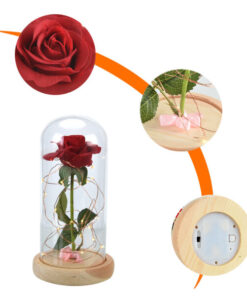 Enchanted Rose Flower Lamp