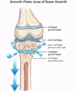 Flashing® 2023 Far Infrared Schorl Titanium Ion Heightening Booster Socks