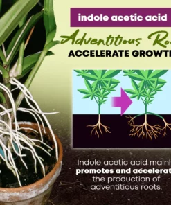 GrowPro™ Rapid Rooting Powder