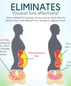 Healthify™ Visceral Fat Treatment Drops