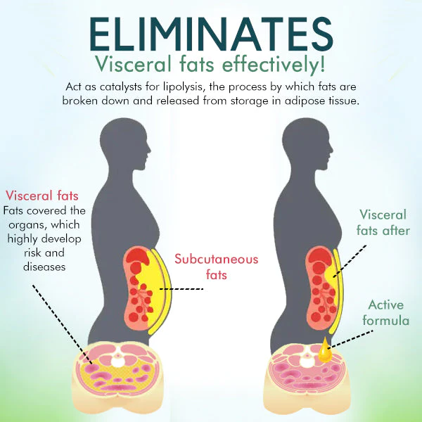 Healthify™ Visceral Fat Treatment Drops