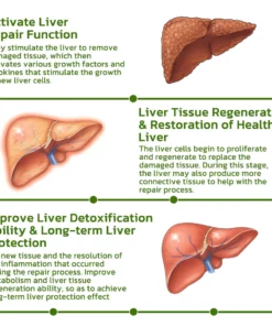 LK Vegan Liver Cleaning Nasal Herbal Box