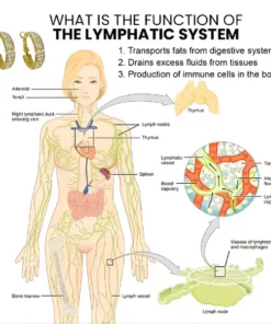 Lovefinity™ Lymphatic activity hoop earrings