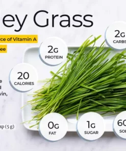 Naveta™ Barley Grass Powder 100% Pure & Organic