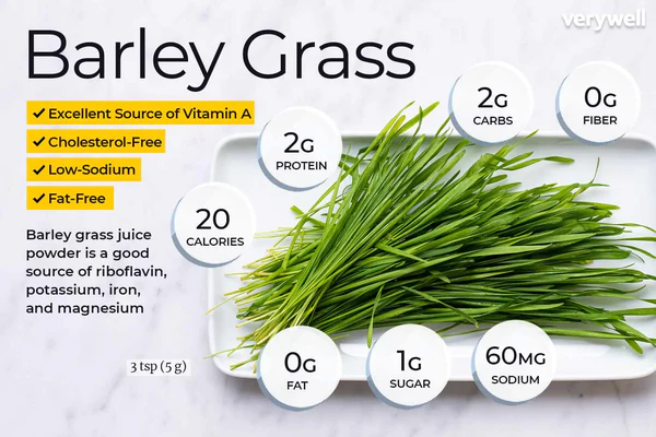 Naveta™ Barley Grass Powder 100% Pure & Organic