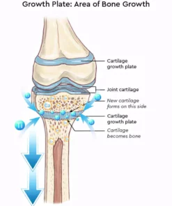 Oveallgo™ Far Infrared Grail Titanium Ion Booster Socks