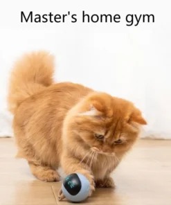 Smart Interactive Cat Toy