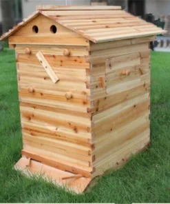 The Honey Sweet Hive