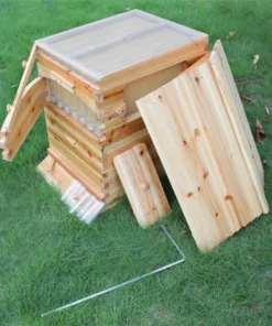 The Honey Sweet Hive