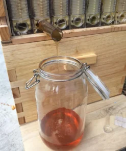 The Honey Sweet Hive