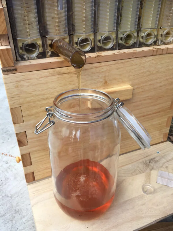 The Honey Sweet Hive