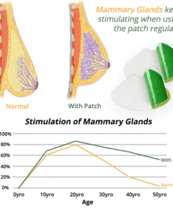 flysmus™ CurvaLux Enhancement Herbal Patch