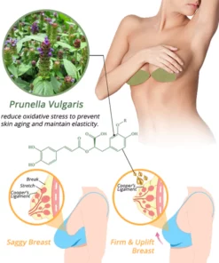 flysmus™ CurvaLux Enhancement Herbal Patch