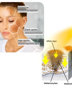 flysmus™ SnoWhite Vitamin C Brightening Infusion Toner