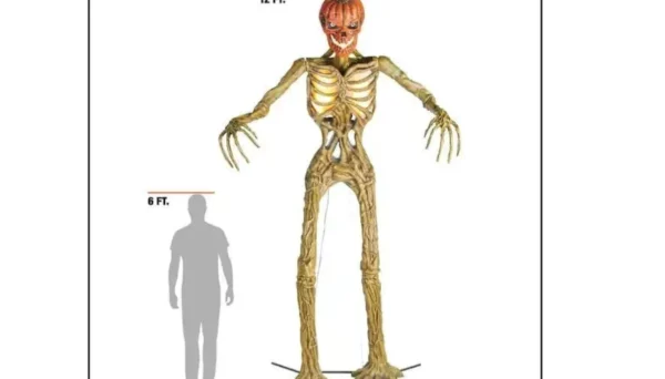 Esqueleto de 12 pés