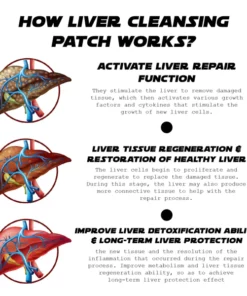 ATTDX Antioxidant LiverCleansing Patch