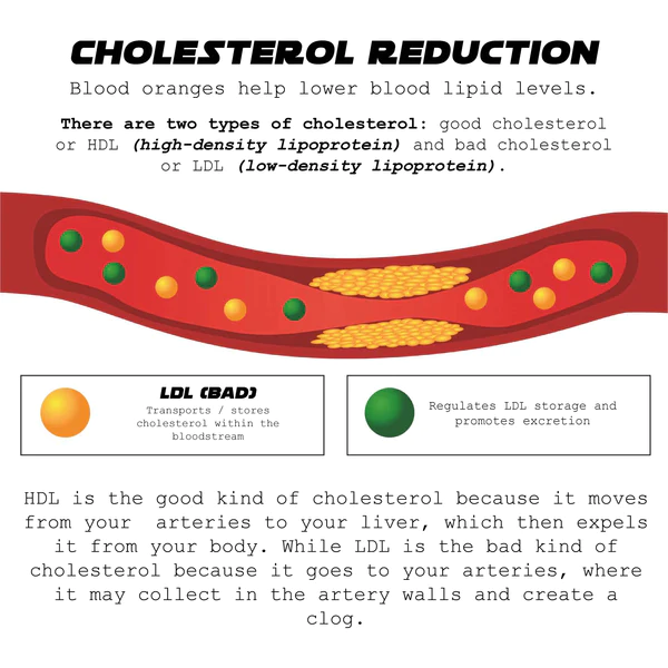 ATTDX BloodOrange ImmuneSupport DetoxTea - Image 4