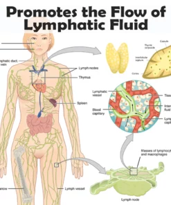ATTDX BodySculpt Slimming Nasal Inhaler