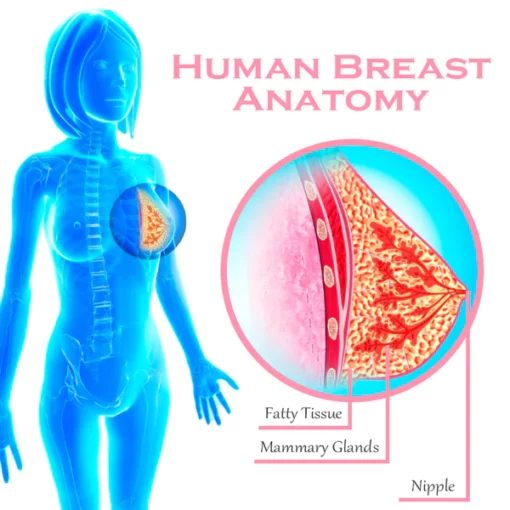 ATTDX BreastFirming Massage Roller Gel - Image 2